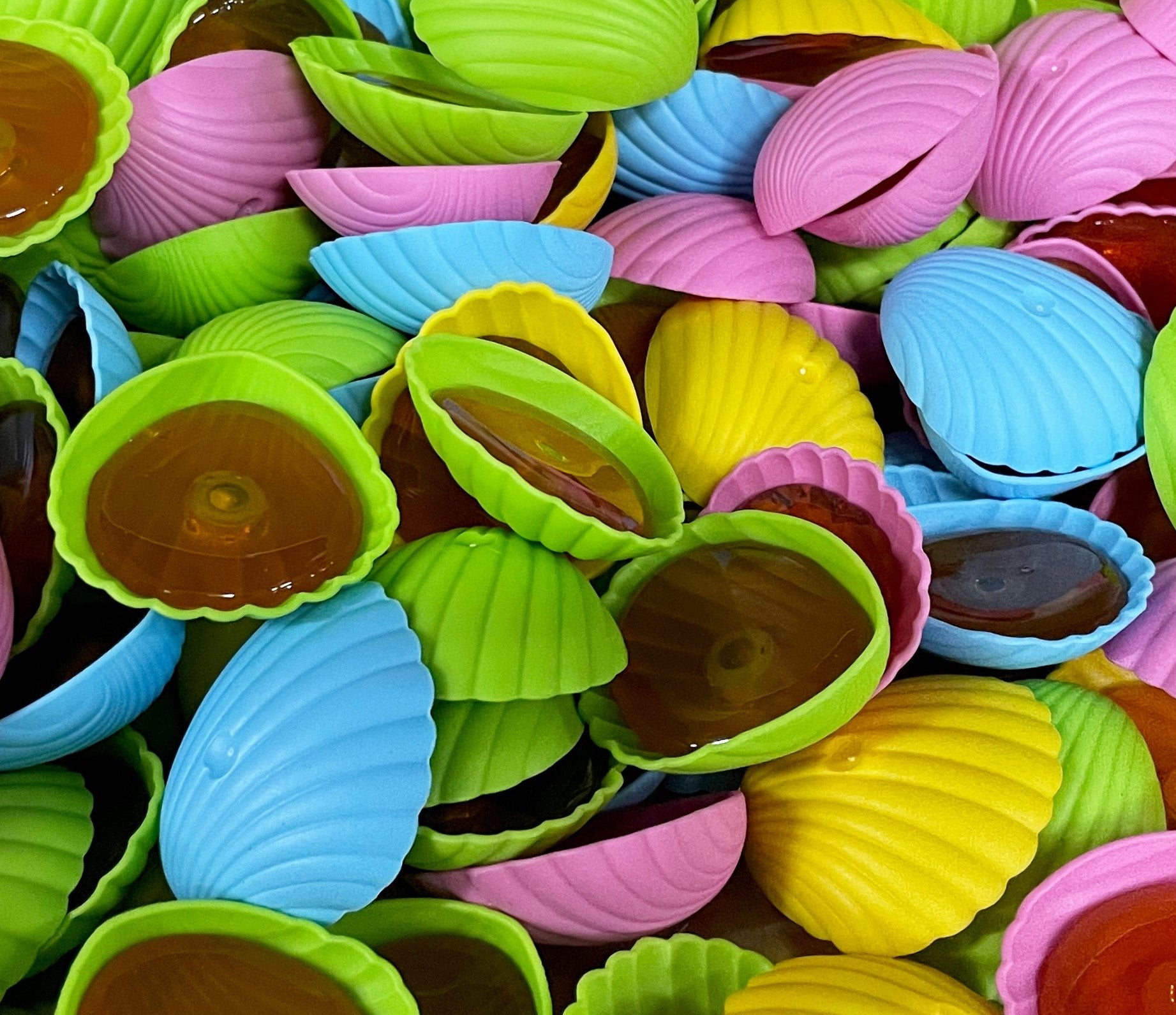 SEASHELLS 10K
